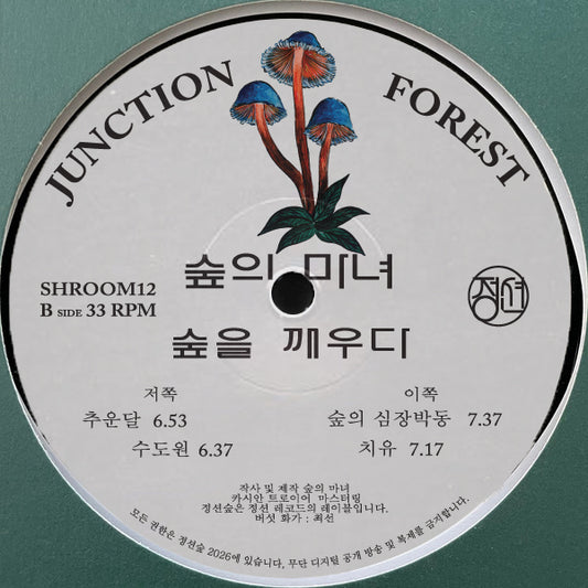 [SHROOM12] Forest Witches - Awaken The Woods