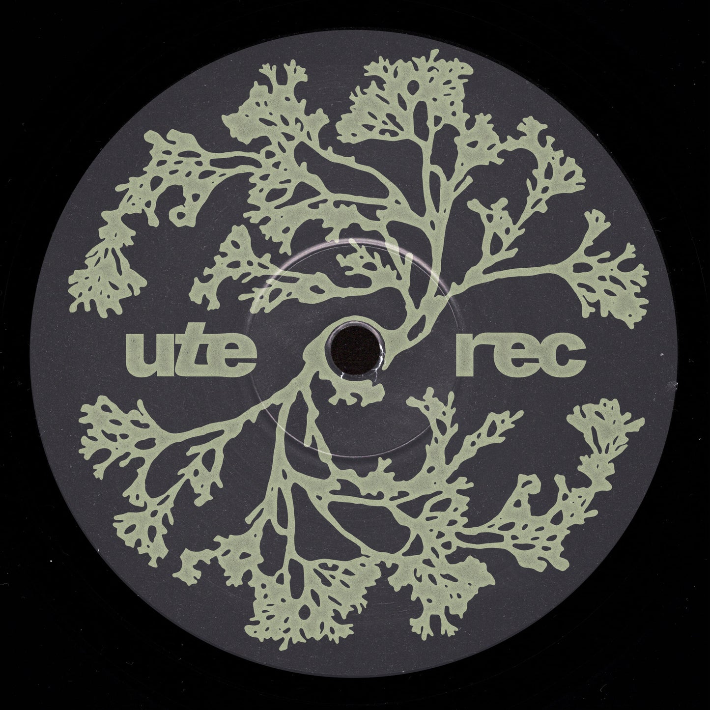 [UTE015] Matthias - UTE015