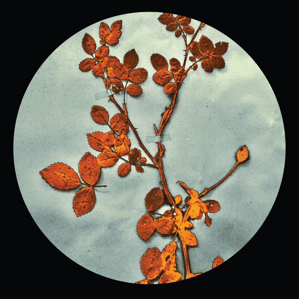 [ZON006] Jorge Gamarra & D’Marc Cantu - The Bramble EP